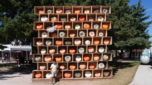 A grid of apple-filled baskets displayed beneath a clear blue sky.
