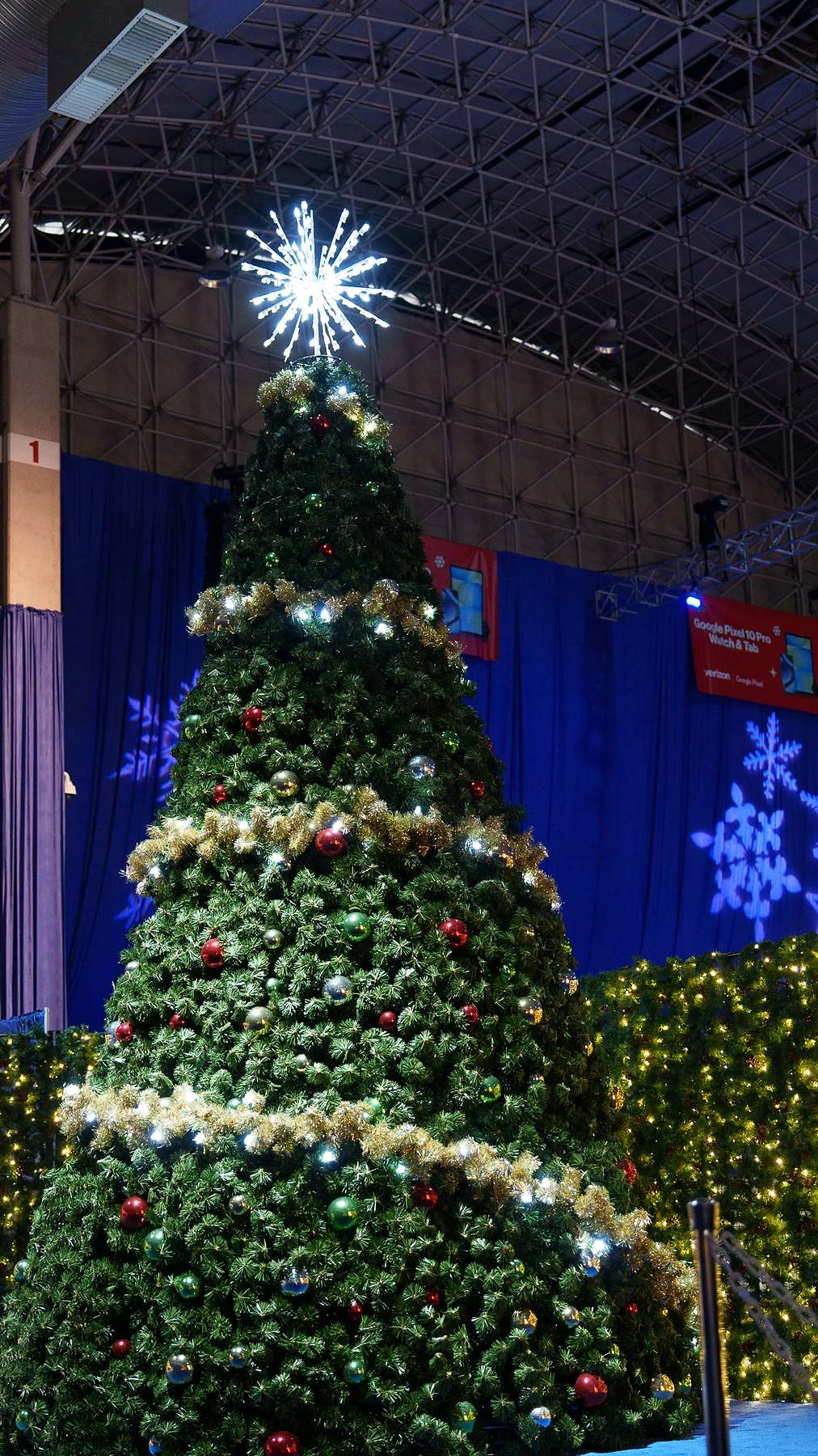 The big tree and its star
