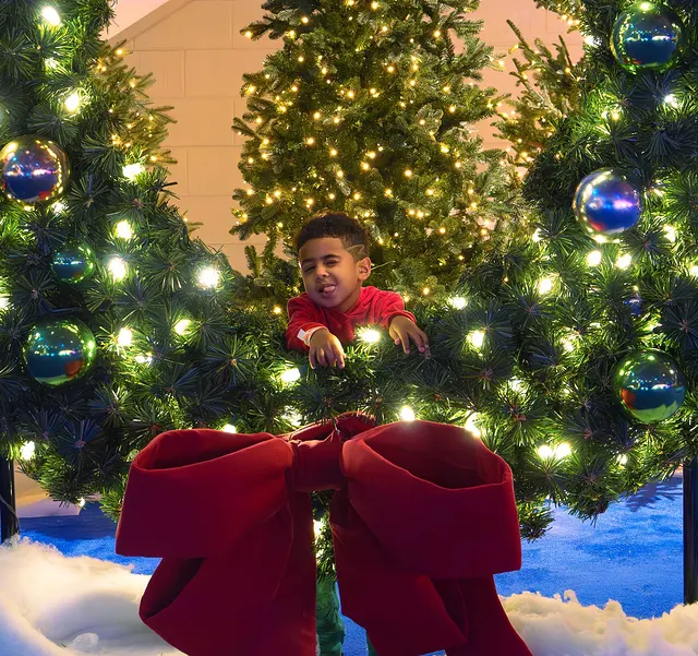 Through the wreath and the lights