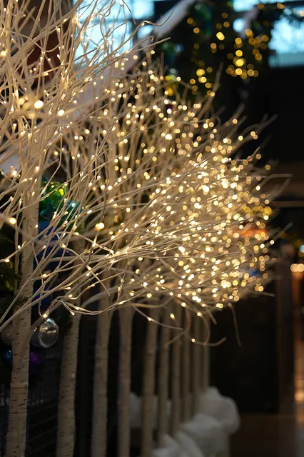 Lit branches over the snow
