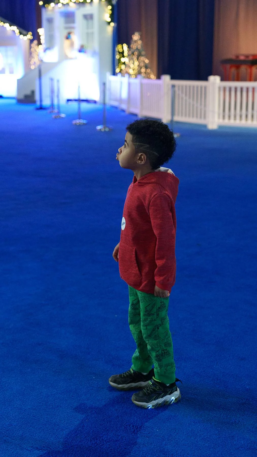 Alone on the blue carpet