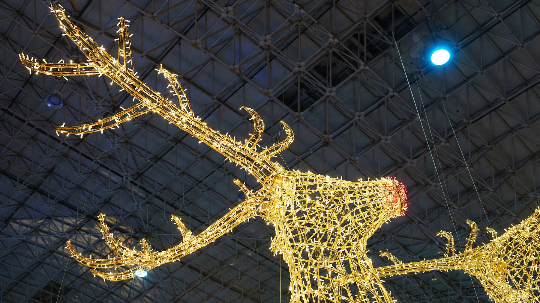 The reindeer in lights overhead