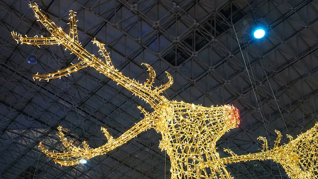 The reindeer in lights overhead
