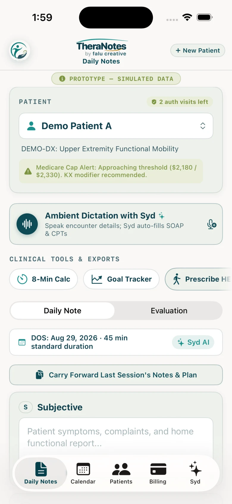 TheraNotes Daily Notes native prototype, simulated data